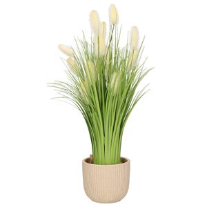 Everlands Kunstplant rietgras/pluimgras - in pot wit - keramiek - H40 cm -