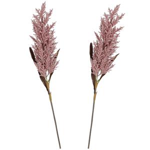 Mica Decorations Pampasgras pluim losse steel/tak - 2x - oudroze - 88 cm - Decoratie kunst graspluimen -