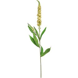 Nova nature Kunst Veronica spray peach - 76 cm - 