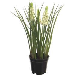 Nova nature Muscari x3 with black pot cream 23 cm kunstbloem - 