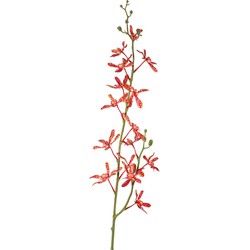 Driesprong collection Cattleya orchidee 82 cm kunstbloem zijde nepbloem III - 