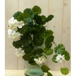 Warentuin mix Kunstgeranium wit op steker - 