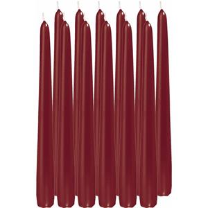 Enlightening Candles 24x Bordeauxrode dinerkaarsen 25 cm 8 branduren -