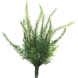 Nova nature Erica bush new cream x15 24 cm - 