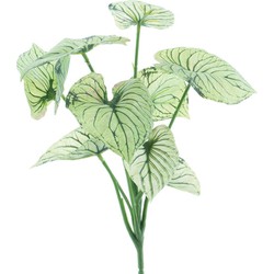Nova nature Caladium bush cream/green 32 cm kunstbloemen - 