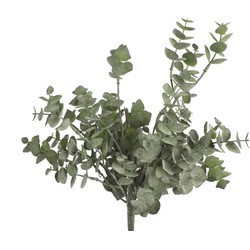 Countryfield Eucalyptus groen - 