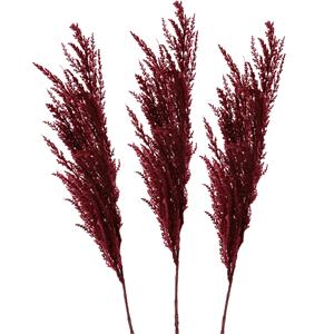 TopArt Pampasgras pluim losse steel/tak - 3x - bordeaux rood - 100 cm - Decoratie kunst graspluimen -