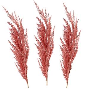 TopArt Pampasgras pluim losse steel/tak - 3x - oudroze - 100 cm - Decoratie kunst graspluimen -