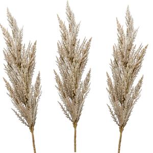 Emerald Pampasgras pluim losse steel/tak - 3x - naturel - 92 cm - Decoratie kunst graspluimen -