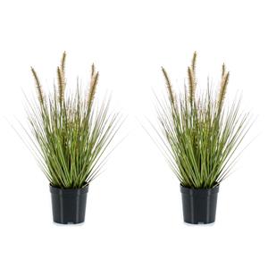 Emerald Set van 2x stuks kunstplanten groen gras sprieten 45 cm. -