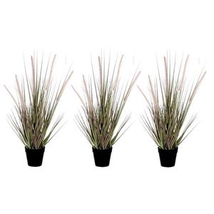 Mica Decorations 3x Groene Dogtail/siergras kunstplant 53 cm in zwarte pot -
