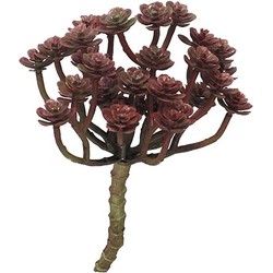 Nova nature Cacta rood 19 cm kunstplant - 