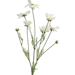 Nova nature Cosmos Orion creme kunstbloem - 