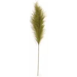 Buitengewoon de boet Pampas Gras 60 cm Mos groen kunstplant - 