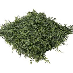 Easylawn grass Kunstplantenmat wandplant kunststof Fern 1m2 - 