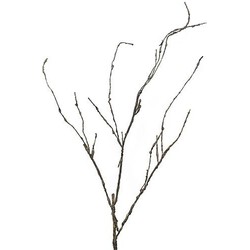 Nova nature Wood Twig Cordata 95 cm kunsttak - 