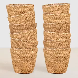 Plantje Zeegras plantenpotten voordeelbundel - Sofia - P12