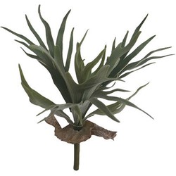 Buitengewoon de boet Hertshoorn 33 cm kunstplant - 