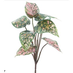 Nova nature Dieffenbachia plant green/pink 32 cm - 