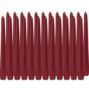 Trend Candles Dinerkaarsen/kandelaarkaarsen Cello - 24x stuks - bordeauxrood - Gotisch - 25 cm -