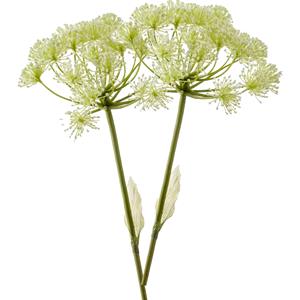 Emerald Kunstbloem Berenklauw - 2x - 78 cm - wit - losse tak - kunst zijdebloem - Heracleum - decoratie -