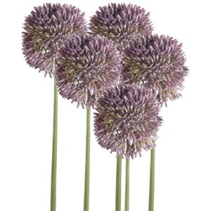 Emerald Allium/Sierui kunstbloem - 5x - losse steel - lila paars - 65 cm - Natuurlijke uitstraling -