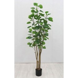 Buitengewoon de boet Kunstplant Polyscias 160 cm - 