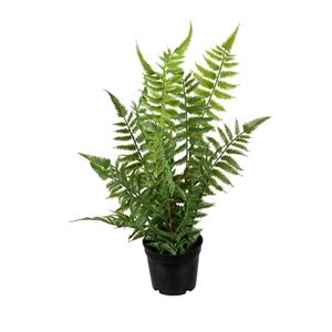 Louis Maes kunstplanten - Bosvaren - groen - in pot - cm -