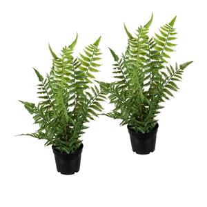 Louis Maes kunstplanten - 2x - Bosvaren - groen - in pot - cm -
