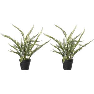 Louis Maes Varen Nephrolepis - 2x stuks - Kunstplant - Groen - 50 cm -
