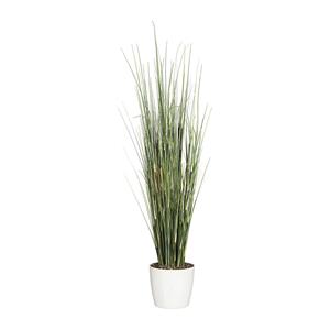 Equisetumgras, keramische pot, wit, hoogte 950 mm