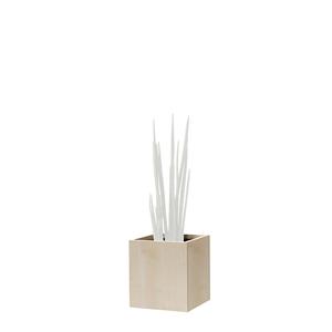 Plantenbak, kniehoog, voor 1 plant, ahornhoutdecor
