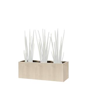 Plantenbak, kniehoog, voor 3 planten, ahornhoutdecor