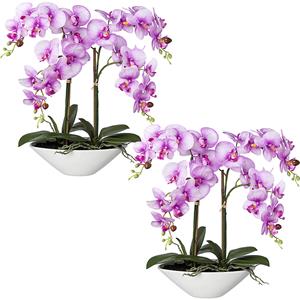 Phalaenopsis, real touch, hoogte 530 mm, VE = 2 stuks, keramische schaal, orchidee