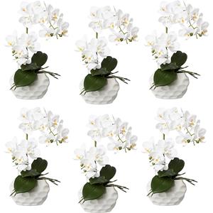 Phalaenopsis, real touch, hoogte 330 mm, VE = 6 stuks, keramische pot, wit