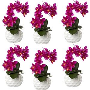 Phalaenopsis, real touch, hoogte 330 mm, VE = 6 stuks, keramische pot, lila