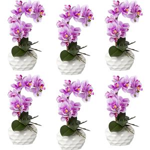 Phalaenopsis, real touch, hoogte 330 mm, VE = 6 stuks, keramische pot, orchidee