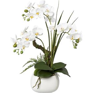 Phalaenopsis, real touch, hoogte 460 mm, bloemen wit