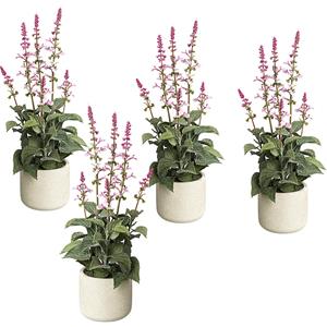 Salvia in een cementen pot, VE = 4 stuks, hoogte 450 mm, bloemen roze