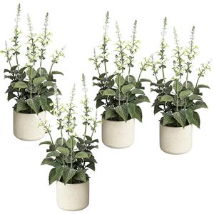 Salvia in een cementen pot, VE = 4 stuks, hoogte 450 mm, bloemen wit