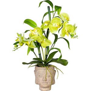 Orchidee-bamboe arrangement, in een cementen Boeddha-pot, groen, real touch, hoogte ca. 600 mm