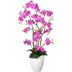 Orchidee Phalaenopsis, real touch, in keramische vaas, hoogte ca. 1100 mm, lilapink
