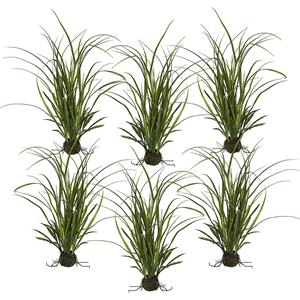 Weidegras met kluit, VE = 6 stuks, hoogte 530 mm