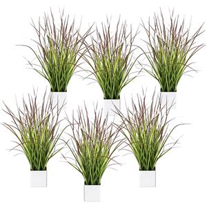 Bloedgras in een pot, VE = 6 stuks, hoogte 460 mm, groen-rood