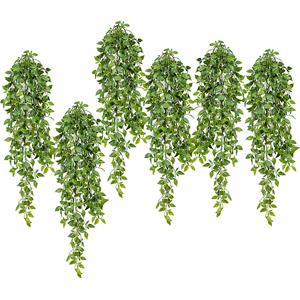 Epipremnum blad minihangplant, VE = 6 stuks, lengte ca. 800 mm, groen