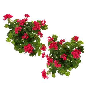 TopArt Kunstbloemen boeketje Oostenrijkse geranium - 2x - fuchsia roze - cm -