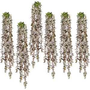 Eucalyptus hangplant, VE = 6 stuks, groen-roze, lengte ca. 800 mm
