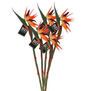Bellatio Design Kunstbloem Strelitzia/Paradijsvogelplant - 5x - 84 cm - losse steel - kunst zijdebloem -