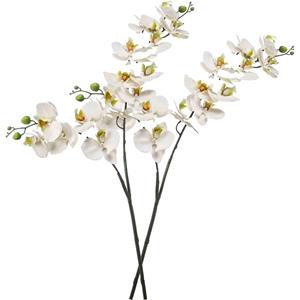 Emerald Kunstbloem Orchidee - 2x - 100 cm - wit/groen - losse tak - kunst zijdebloem - Phalaenopsis -