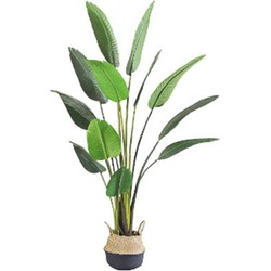 Buitengewoon de boet Kunstplant Blad Strelitzia Soft 220 cm - 